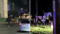 Římanům se při nácviku vojenské přehlídky splašili koně. Zranili dvě ženy