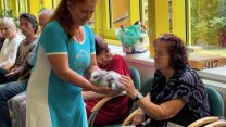 Terapeutické účinky může mít také králík nebo slepice. Jezdí k seniorům i nemocným