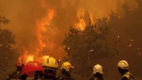 Čelíme bezprecedentnímu fenoménu. Ve Francii kvůli mohutným požárům evakuovali 141 000 lidí