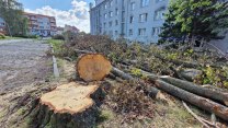 Nejdřív ptáci, teď žáby. Inspekce životního prostředí řeší další kauzu v Havlíčkově Brodě