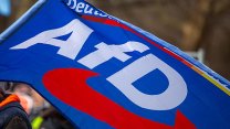 ANALÝZA: Návod AfD, jak převzít moc v Německu. Může se zopakovat převrat z roku 1933?